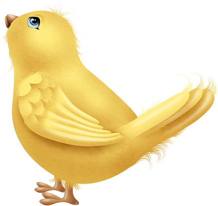 KBK_PrettyRabbit (93)