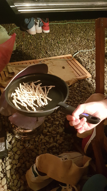 【露營瘋】【車泊車宿】【森林系露營區】-新竹五峰-輪園秘境超 【露營瘋】【車泊車宿】【森林系露營區】-新竹五峰-輪園秘境超