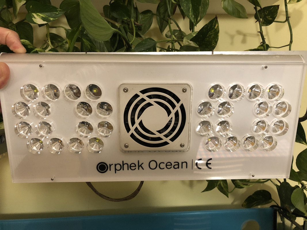 12496EBF-076E-4355-B956-978AAE8C3438