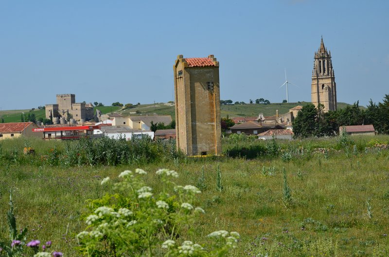 PALENCIA Y SUS PUEBLOS-2016 - Blogs of Spain - AMPUDIA-4-6-2016 (2)