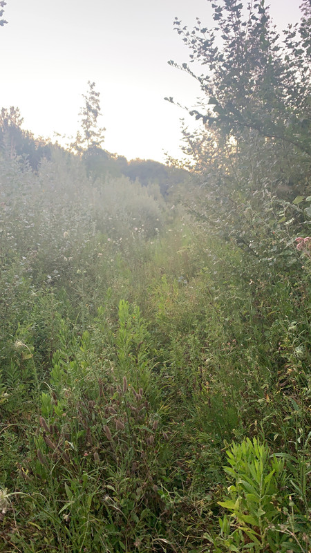 75802CCE-A69C-41D1-BDAB-E02347656B5E