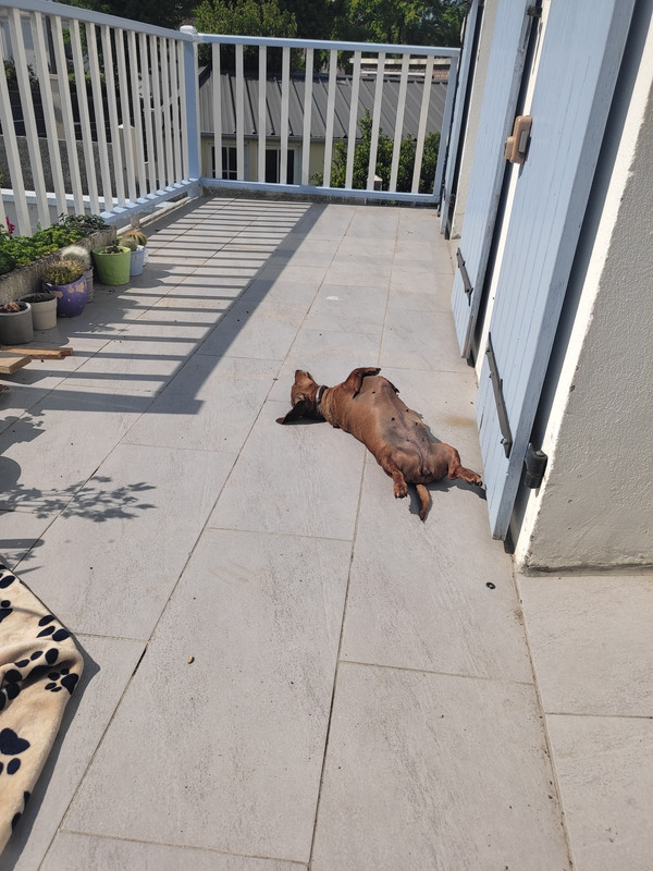 [Image: IMG-20250517-163925.jpg]