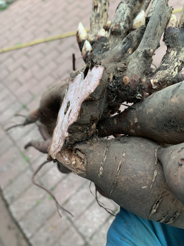 E5500BF5-11FF-4A00-A43F-E9CD4B93F2C0