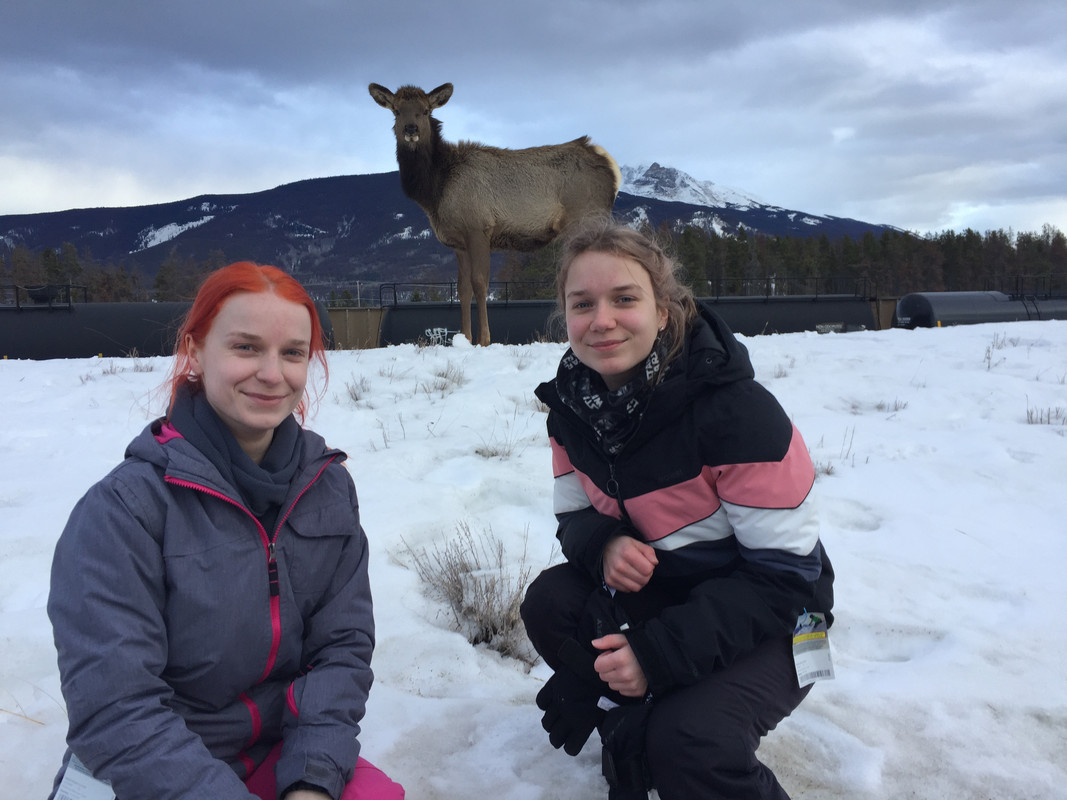 42257618-ECE2-451B-83C0-5E204196D92E