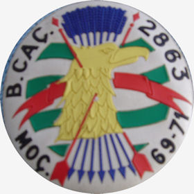 BCac2863
