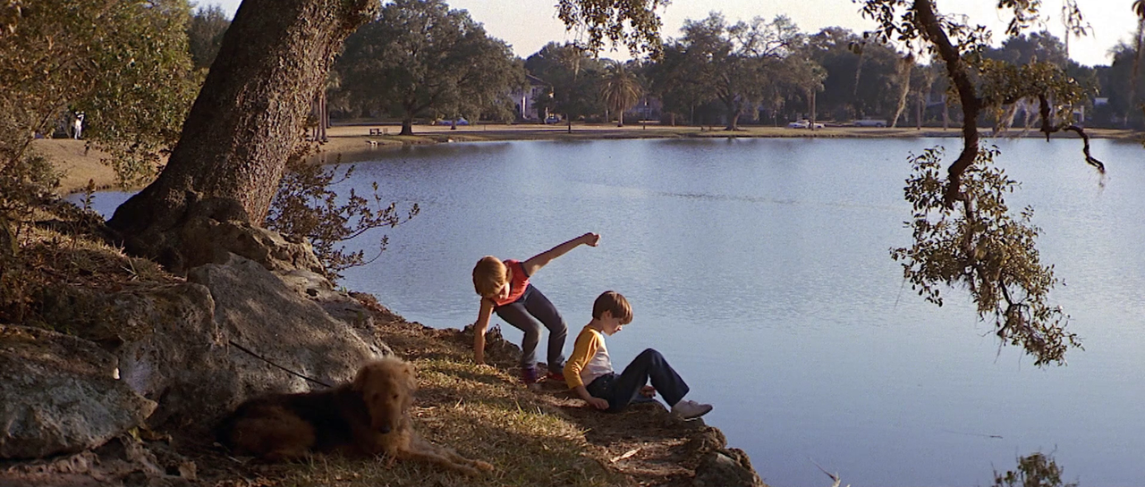 vlcsnap-2023-04-20-19h48m59s740