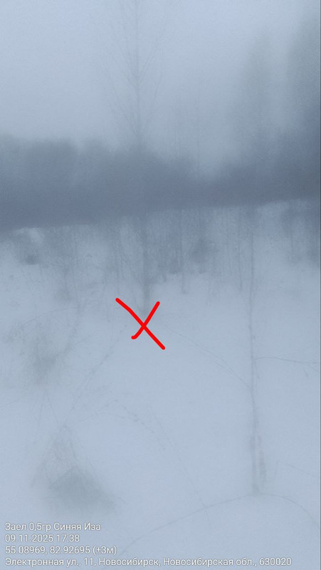 IMG 20251109 205009 759