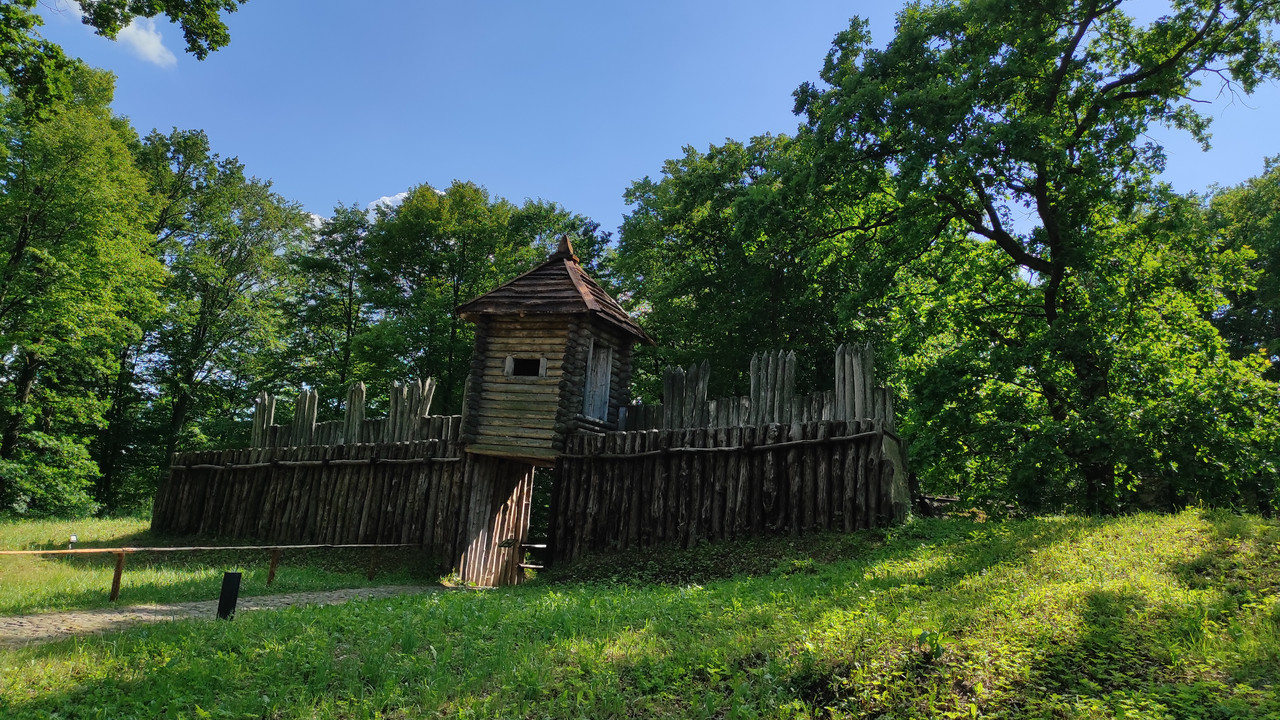 05.29 - IMG_20220617_160011 (Czesio1)