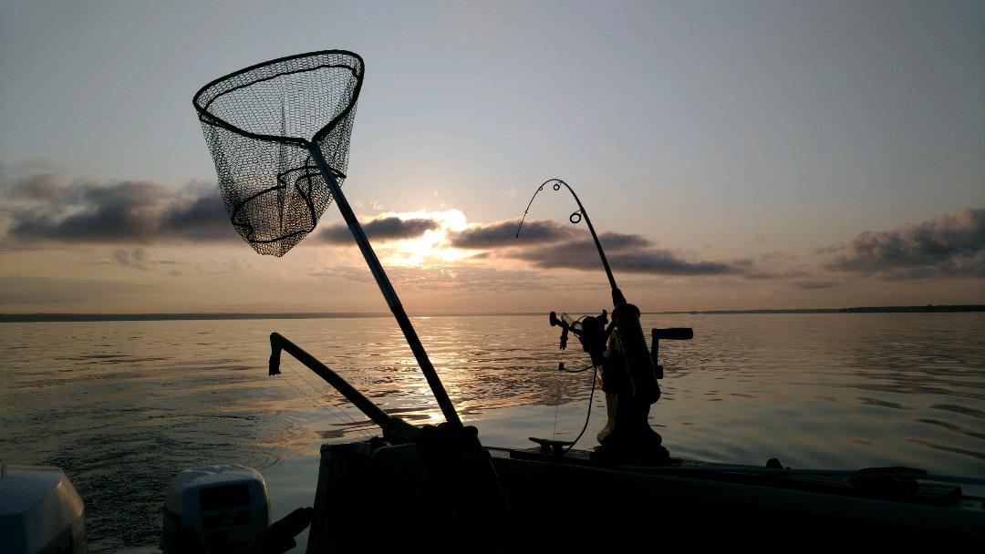 67661936_10217180290811649_1959845524794245120_o - Copy