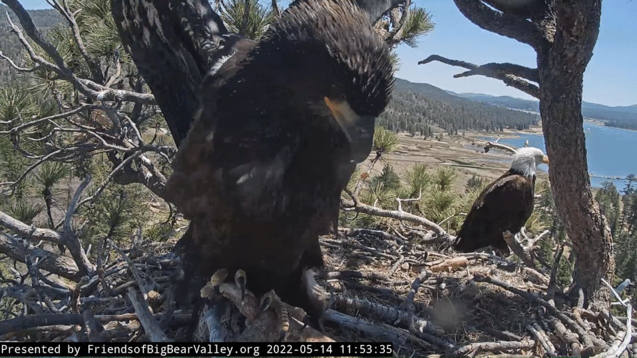 Webp.net-gifmaker (8)