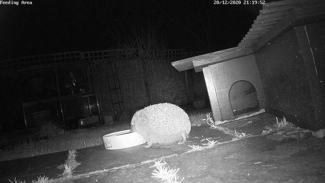 D5AD5ABD-D689-49BD-9F29-CCC2740C0996