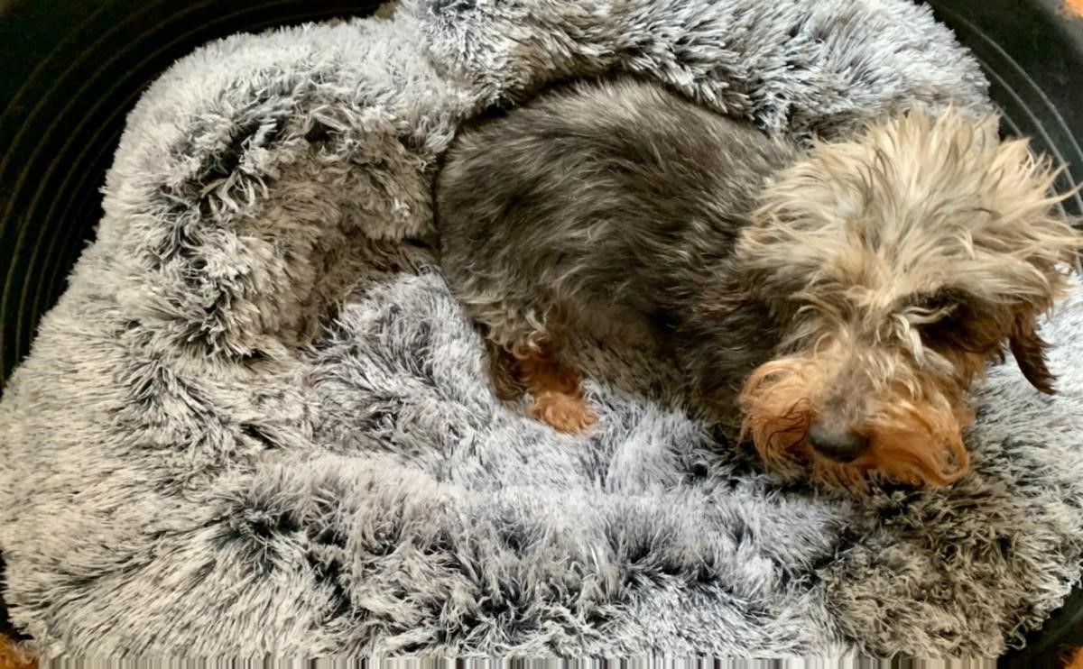 [Image: IMG-1463.jpg]