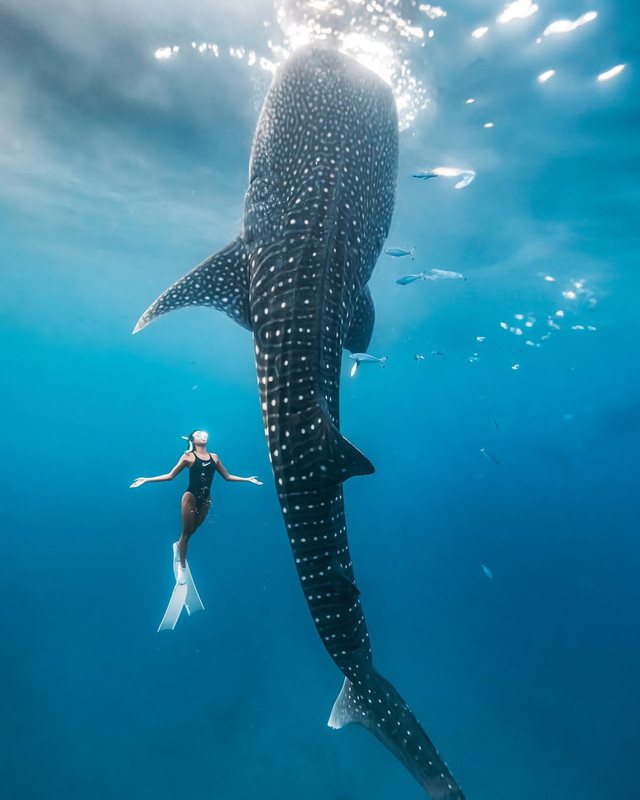 465391560 18470587174034722 8225716614943262300 n