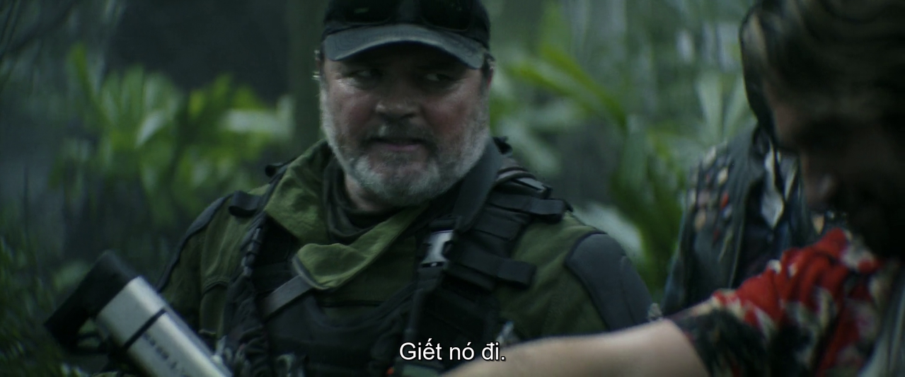 vlcsnap 2025 12 11 19h16m18s923