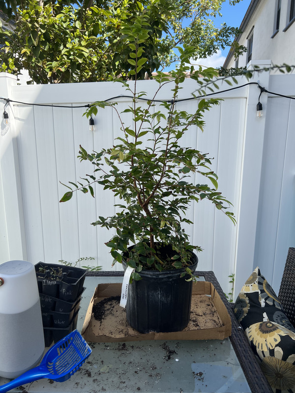 4DF52213-CCD6-45D7-A39A-DDDD3739B30C