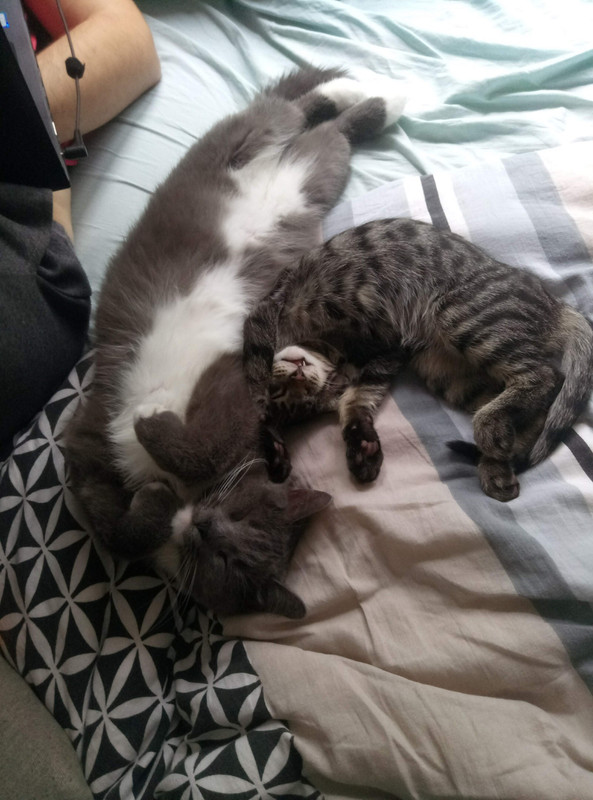 8F4EF53D-1370-4066-A065-6738C2B2BE79