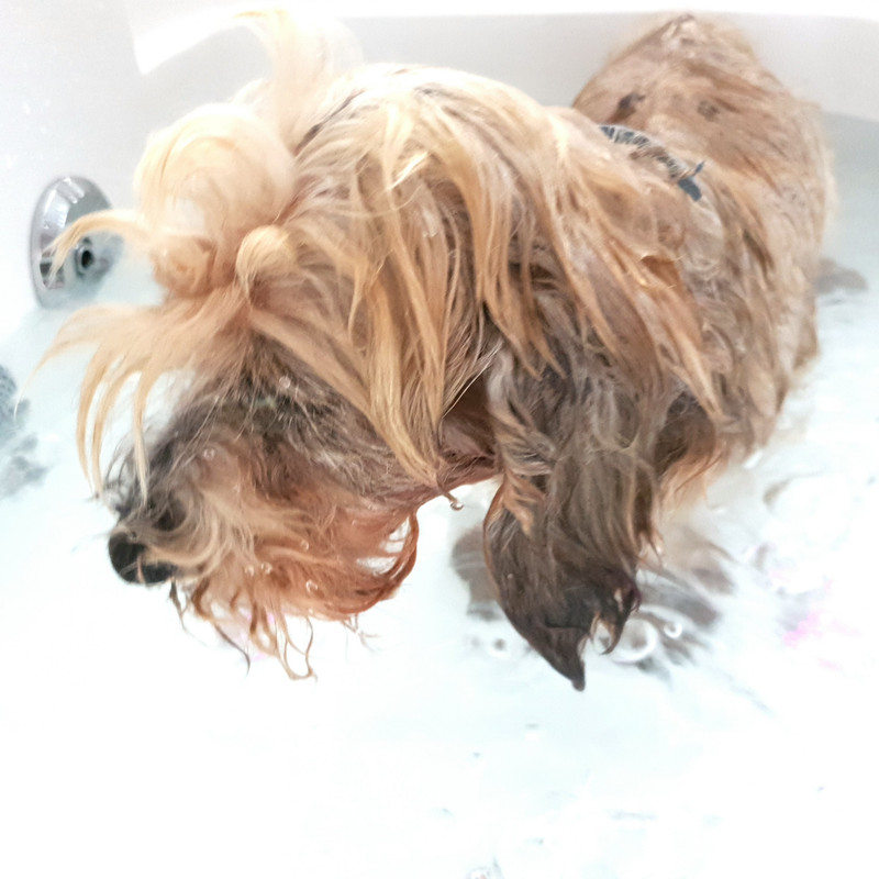 [Image: 20210921-115055.jpg]