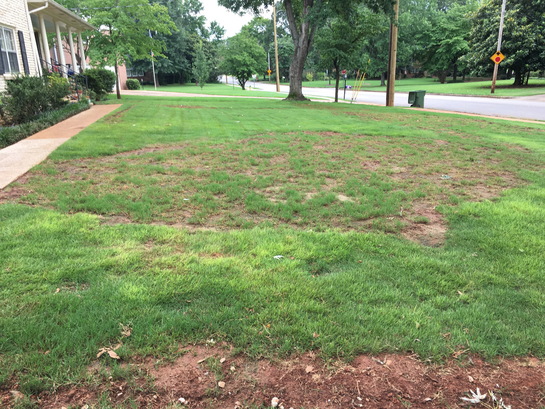 94800979-F60C-4ADF-B13A-4E64D2D14D59