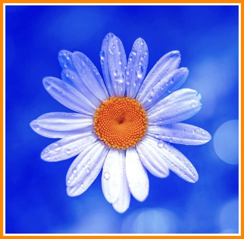 B87E7C11-D599-4EB5-BEB8-170781263B6C