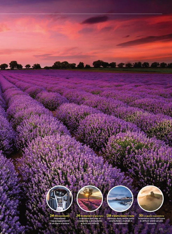 P Pro Lug-Ago 2021 (2)