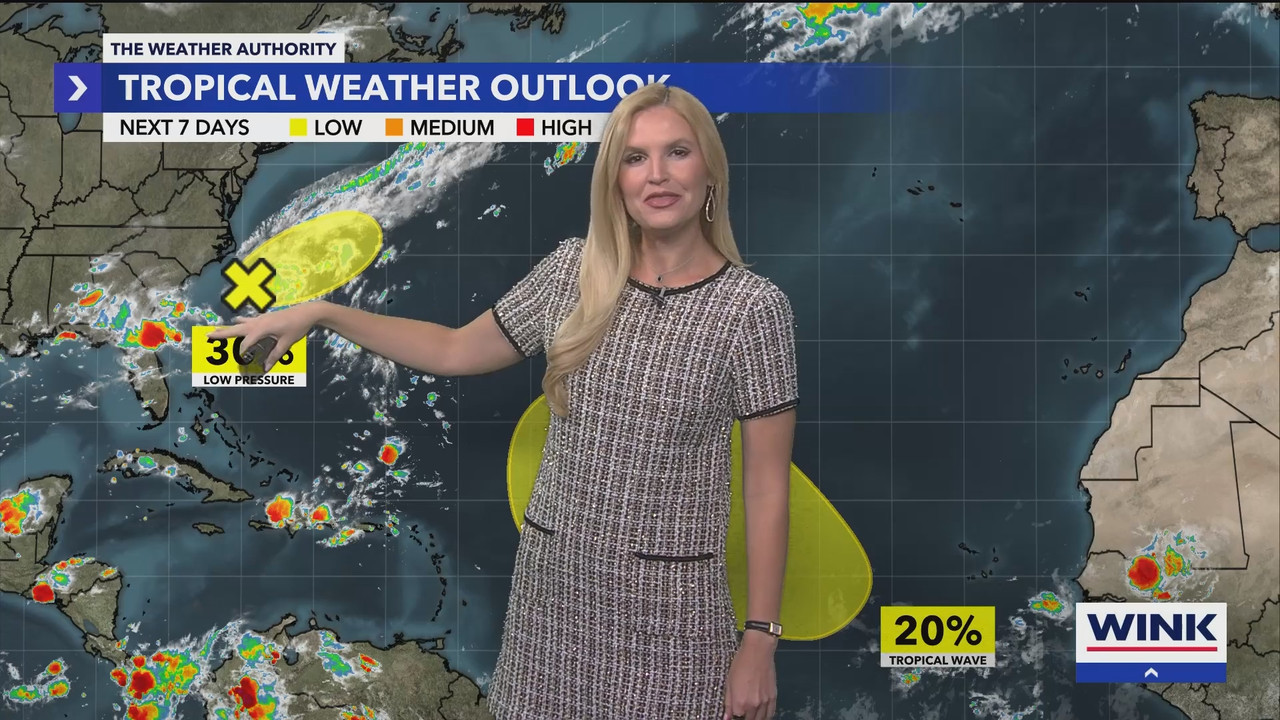 WINK News at 11_20250803_04000500.ts_snapshot_00.46.00.529