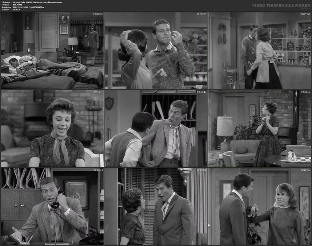 Dick Van Dyke S01E09 (My Blonde-Haired Brunette).mkv