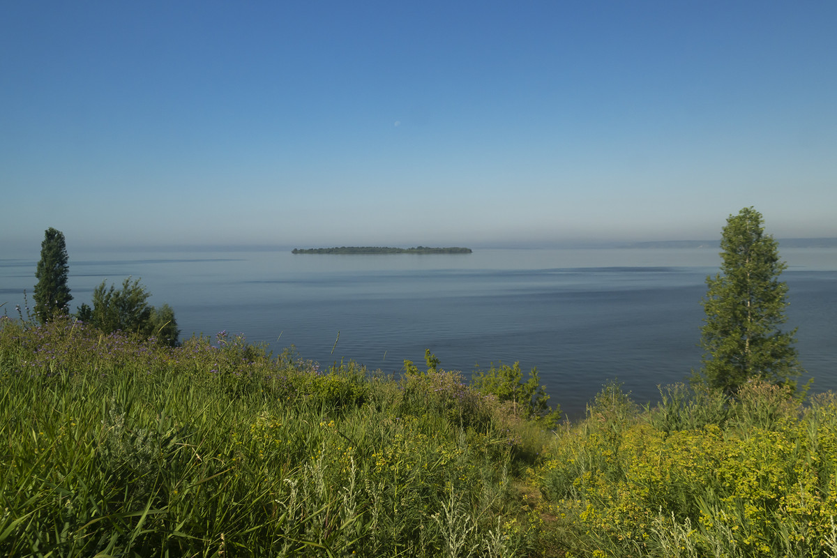 DSC09910-2i.jpg