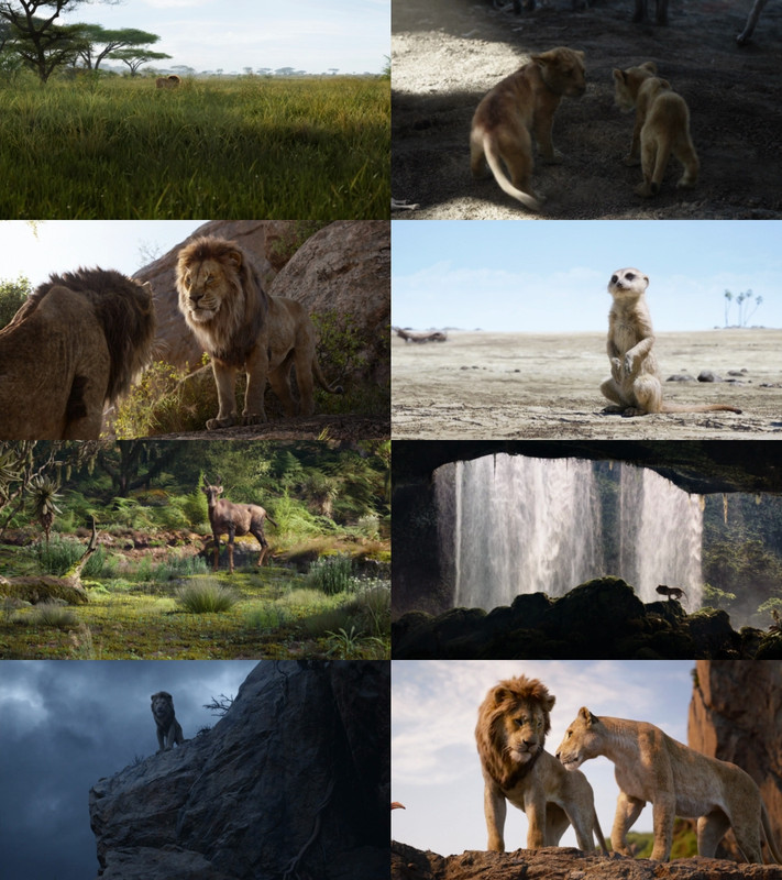 The Lion King (1994) 1080p | 720p | 480p BluRay [Hindi (हिन्दी) + English] DD5.1 ESub