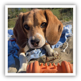 Site-Web-vignette-Instagram-Strong-27