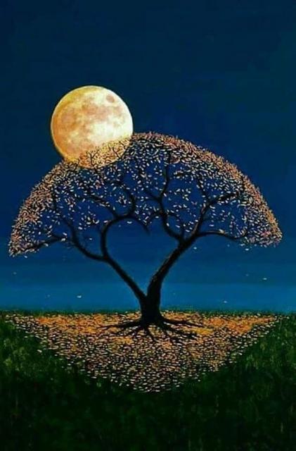dimanche 18 août IMAGE-PLEINE-LUNE-NUIT-F-AGR