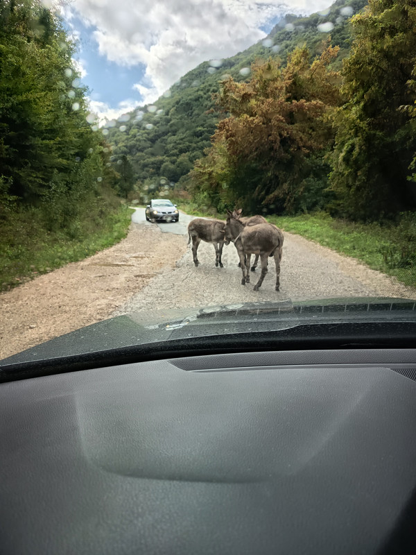 Ruta  Serbia, Bosnia, Croacia, Eslovenia, Montenegro, Kosovo - Foro Grecia y Balcanes