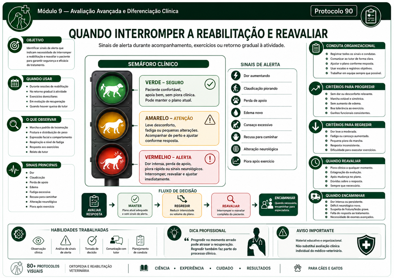Página do material clínico 2