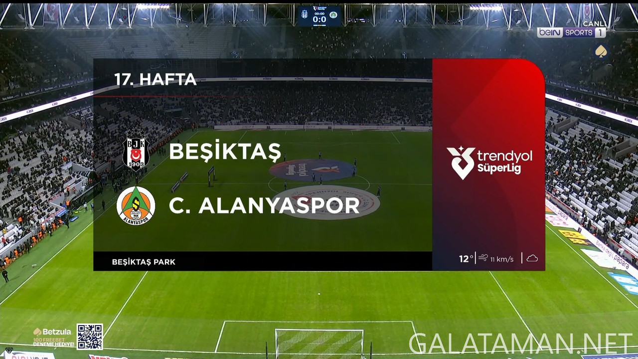 20241221-BES-ALY-TSL_1TR-1080.mkv_snapshot_00.00.36.018