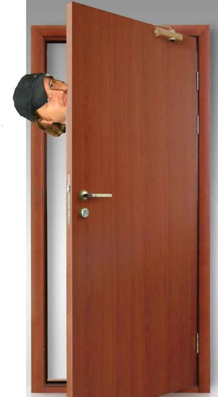 левин