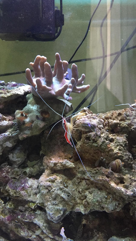 78699ED2-B64C-434D-BB48-1A7B78A27A23