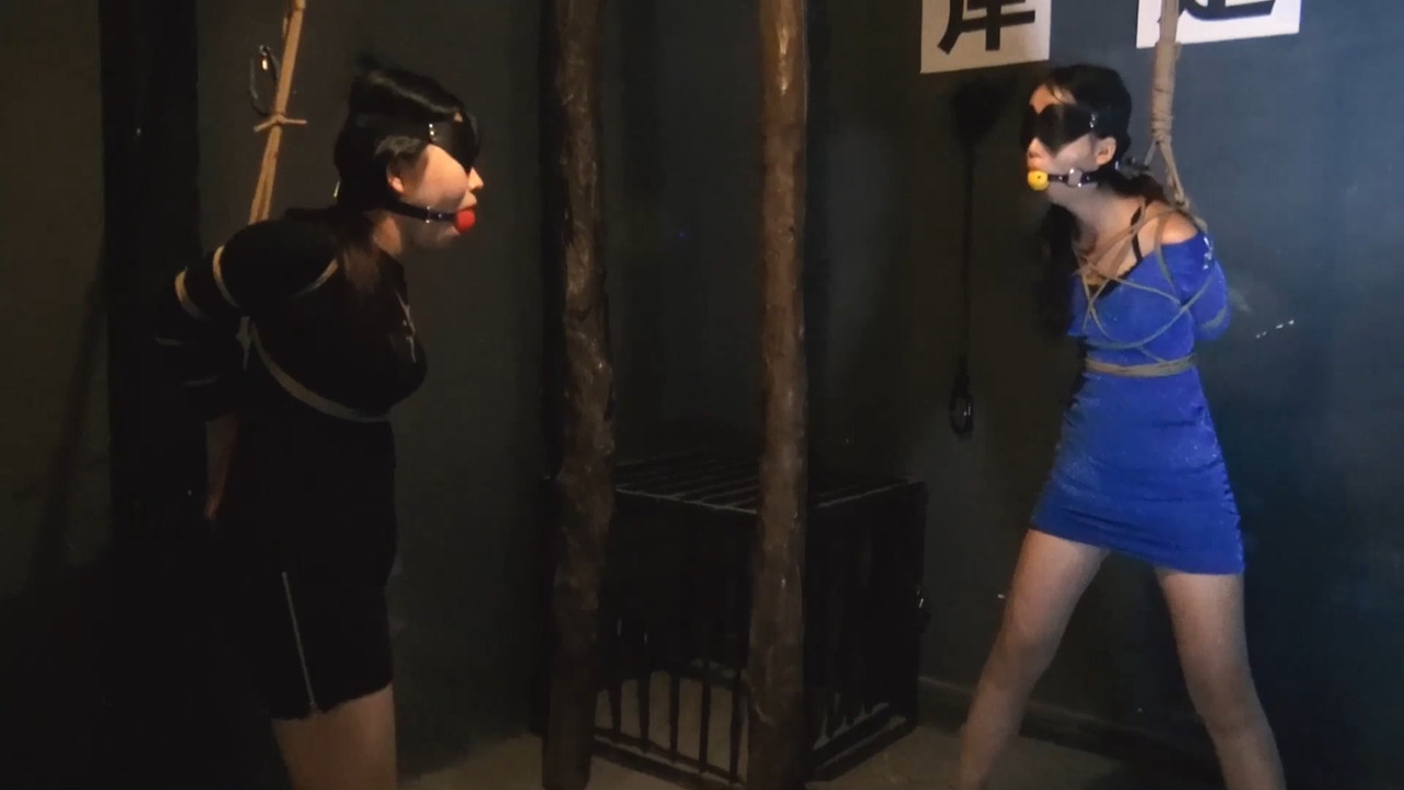 胜景影视 落难姐妹花 十二.mp4_20211004_131314.078