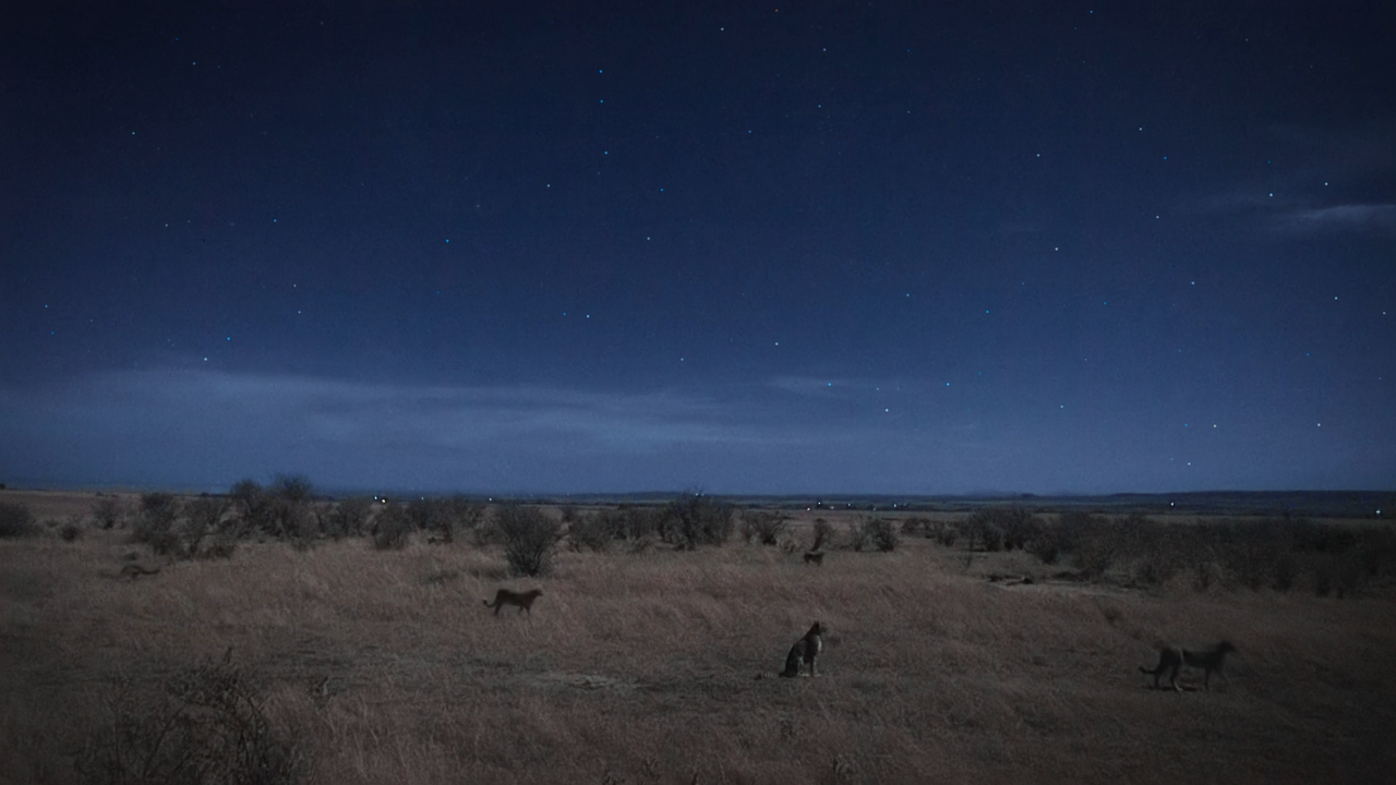 Notte.Sul.Pianeta.Terra.S01E01.Pianure.Al.Chiaro.Di.Luna.iTALiAN