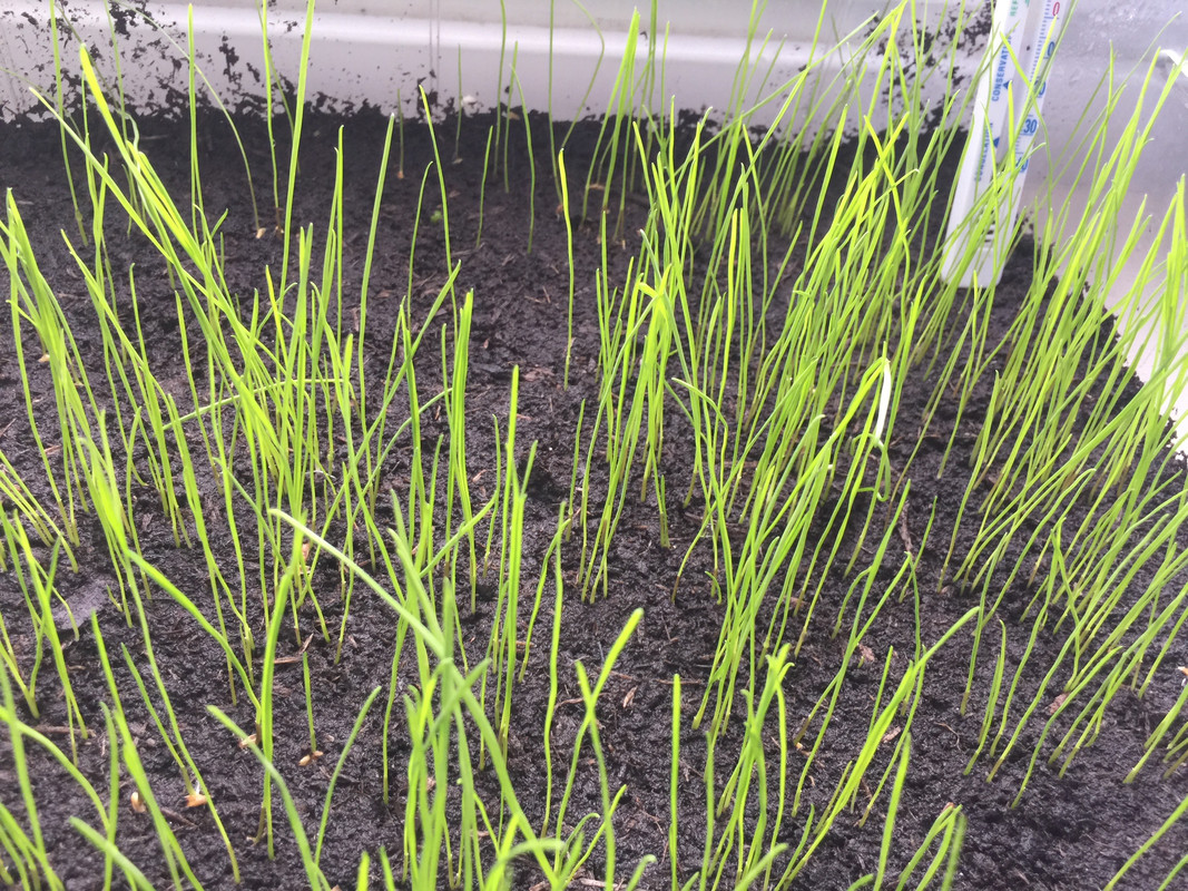 03371B5A-3757-4214-9B27-D2CCCE908FEB