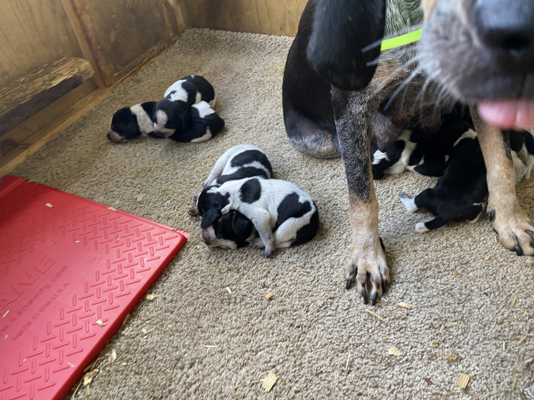 B0EC761C-4D76-46EB-A58C-9EA4738DDF20