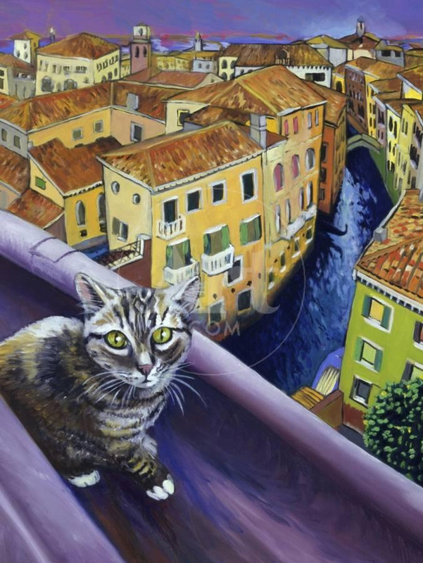 cat-of-venice-chat-de-venise-u-L-Q1-HARIV0