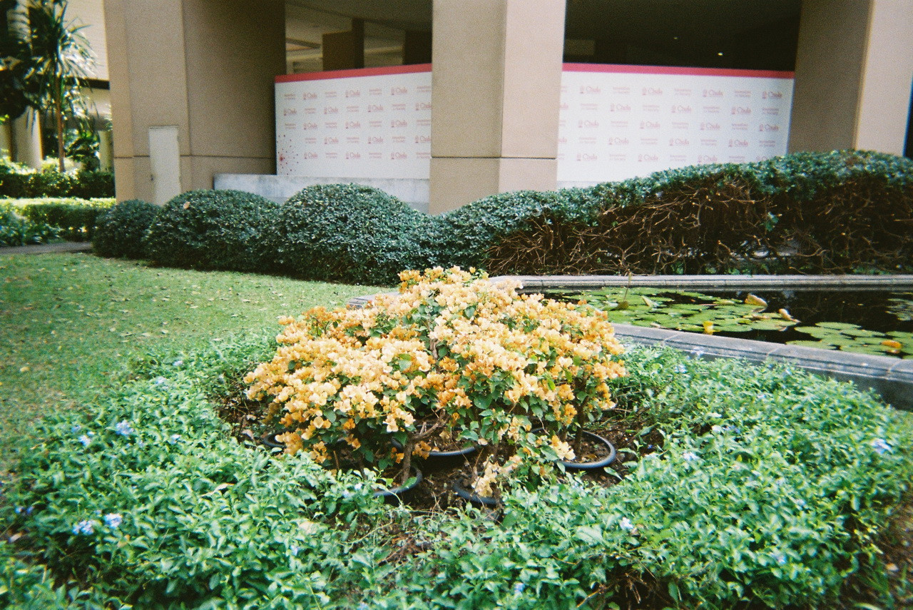 Fuji-Quick-34-resized