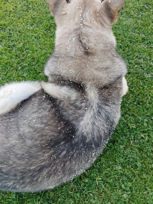 photo 2026 04 27 18 29 03