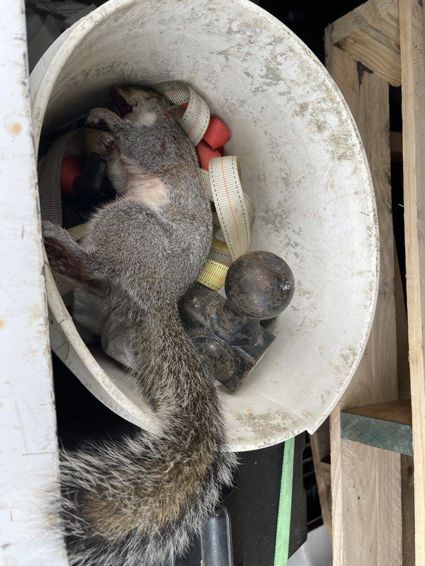 B8B5C771-3BBA-4406-B657-F730403C3C14