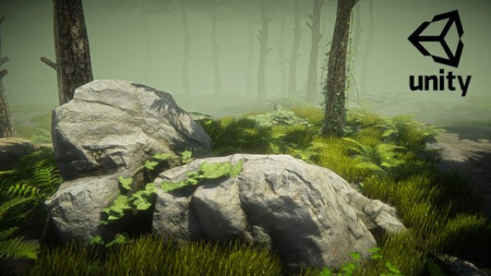 Unity Environment Design