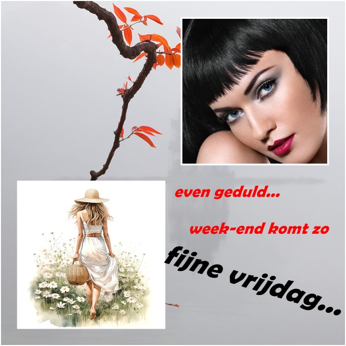 welkom op Krikkie