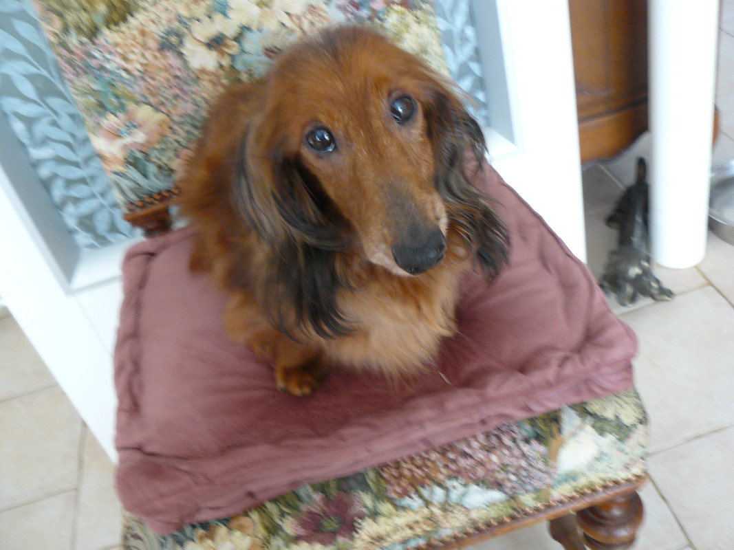 [Image: P1240560.jpg]