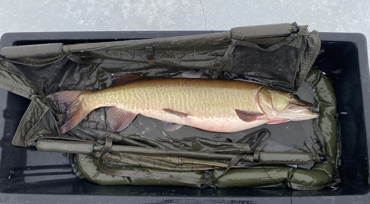 96586D14-6E3E-415C-9F4C-8AA4D7B9CE80