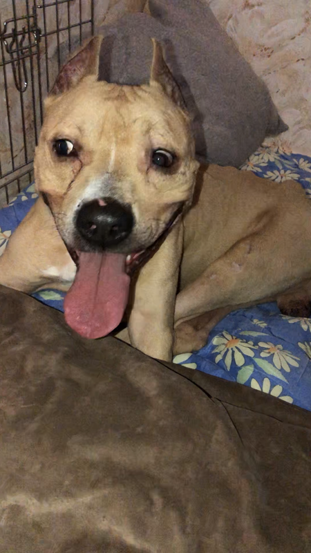 49E8DFB1-AB7F-464F-AC3E-4B471843625F