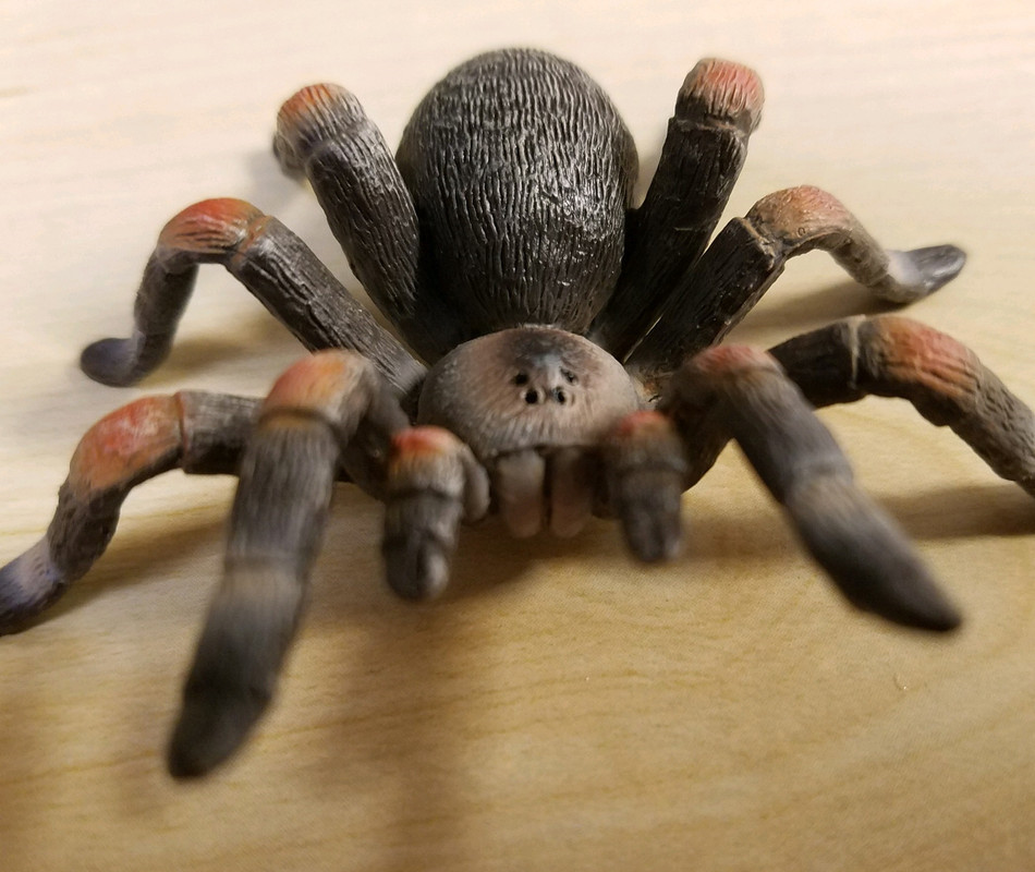 mojo - Tarantula (Mojo Fun) 20190424-174633