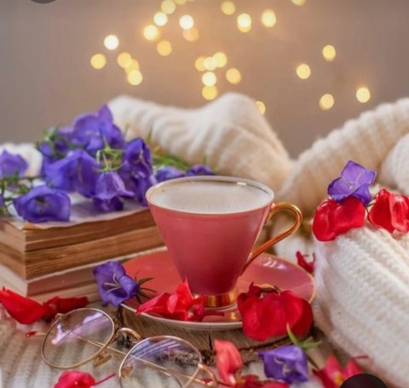 Screenshot_20230328_010525_Pinterest